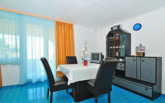 Apartment in Vir near the beach