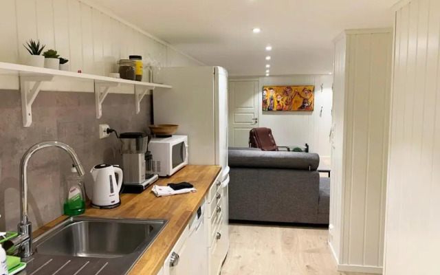 Newly renovated basement apartment