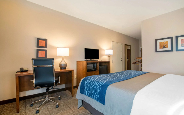 Comfort Inn Concord South End