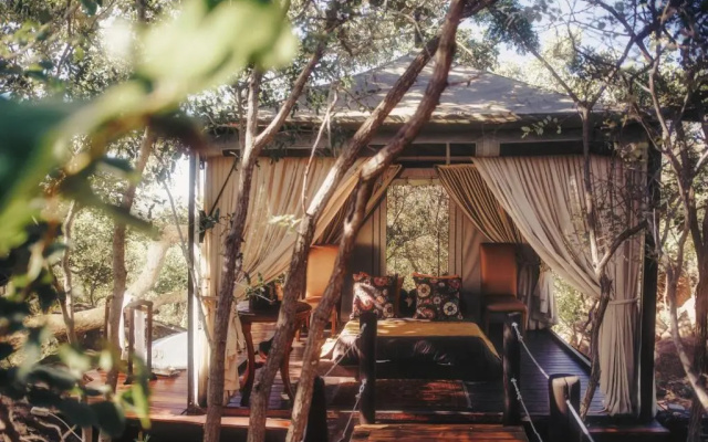 Wild & Free Game Lodge