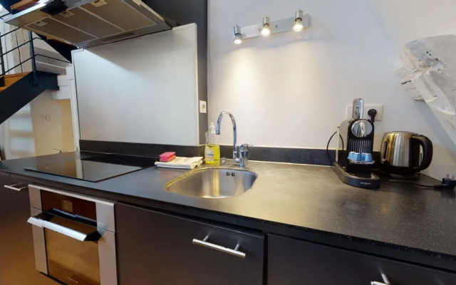 Le Lohkäs - LOFT Triplex Ultra Design Petite France