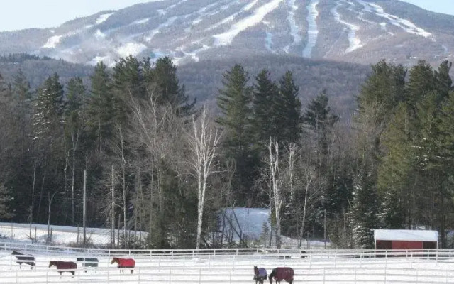 Three Mountain Inn