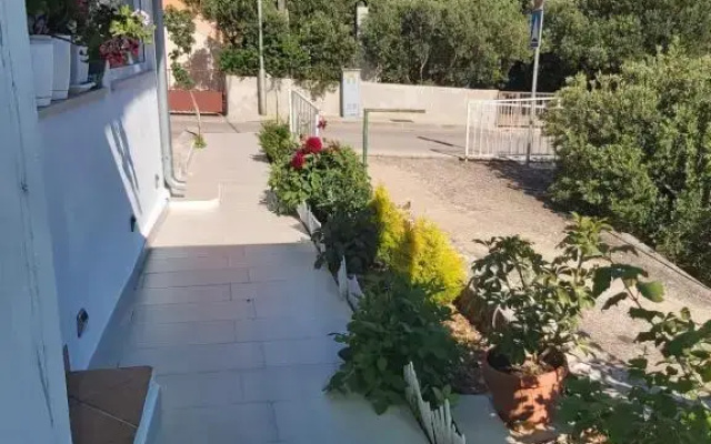 Apartments Teo