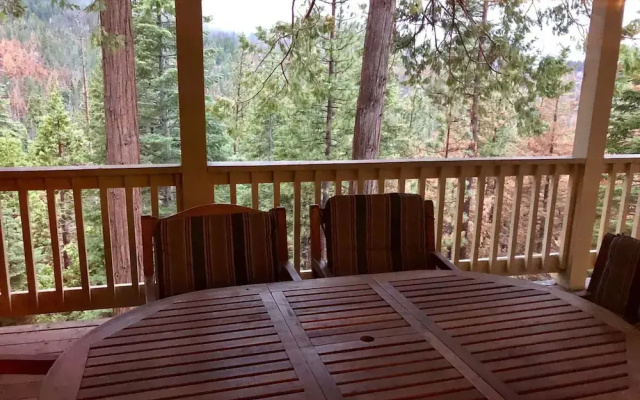 Cabin in the Pines - B