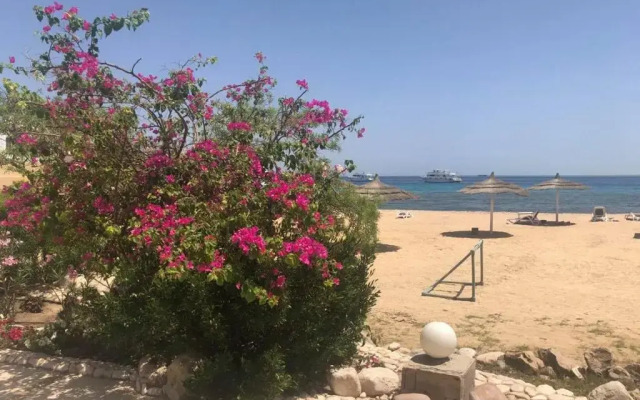 Apartment in Hurghada 174