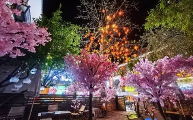 Jianshui TaoZhi Homestay
