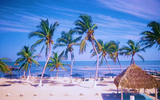 Seashell Beach Resort