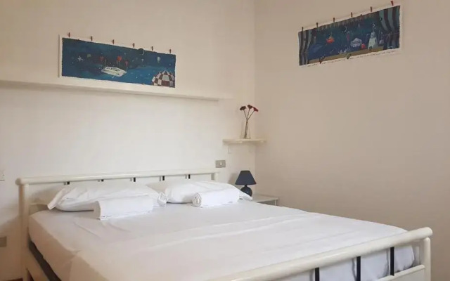 G -Suite Senigallia