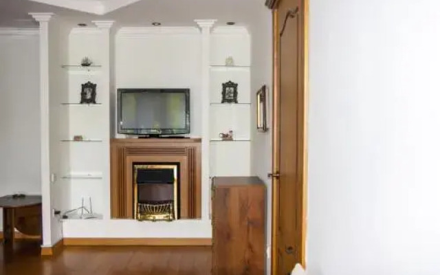 Apartment on Vandy Vasylevskoi Street 3