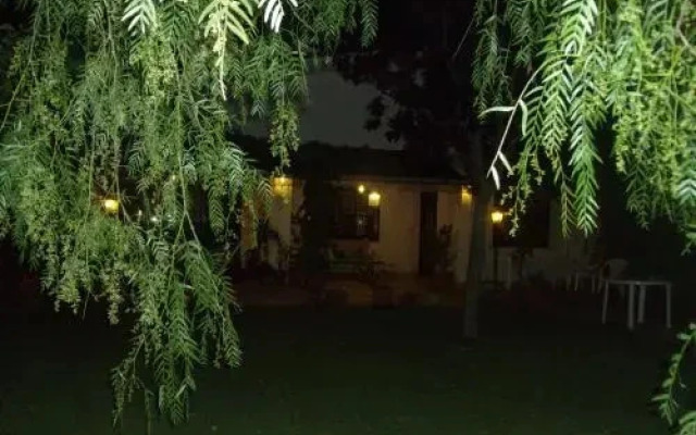 BB LAlbero del Pepe