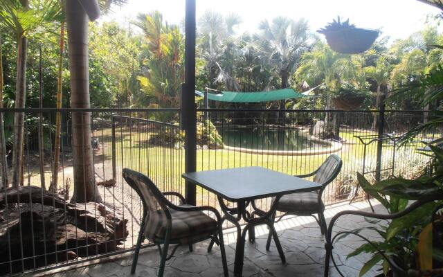 Отель Daintree Wild Zoo & Bed and Breakfast вид на фасад