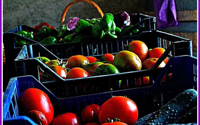 Agriturismo il Tripesce