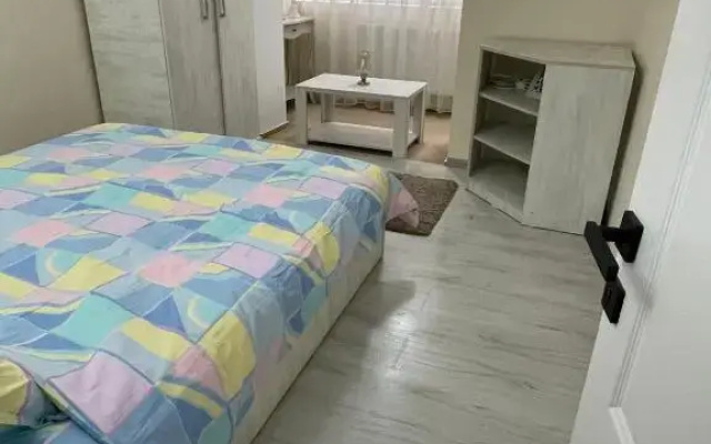 Apartament 2 camere ultracentral