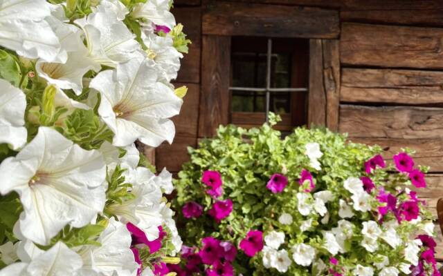Отель Revivre Village Италия, Шампорше - отзывы, цены и фото номеров - забронировать отель Revivre Village онлайн вид на фасад