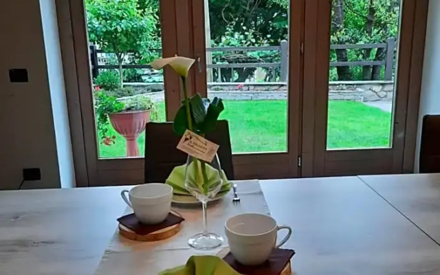 Il Vigneto