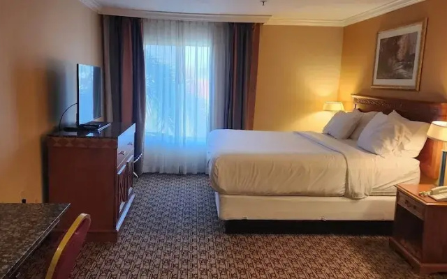 Hotel Xola
