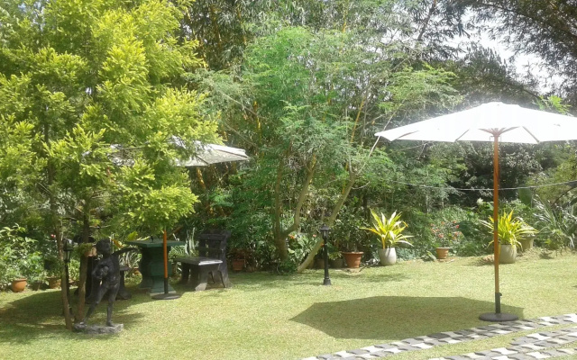 villa begonia