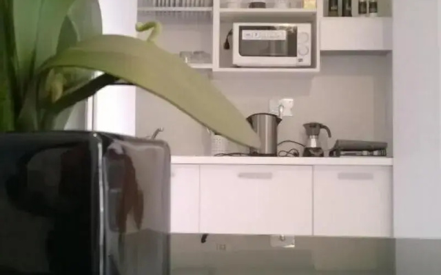 The Pope At The Window
