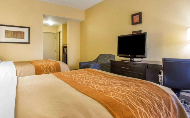 Comfort Inn & Suites at Stone Mountain