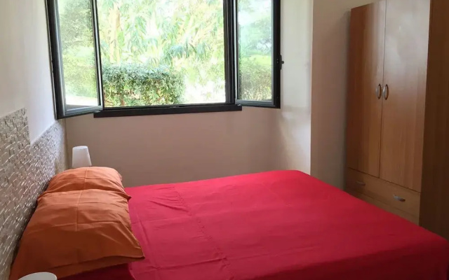 La Palude del Conte