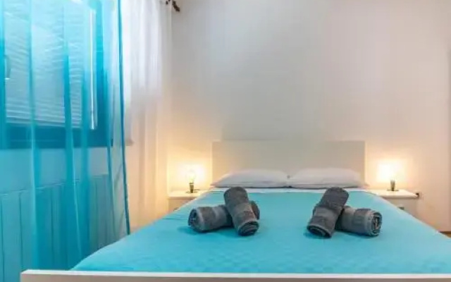 Apartment Viki