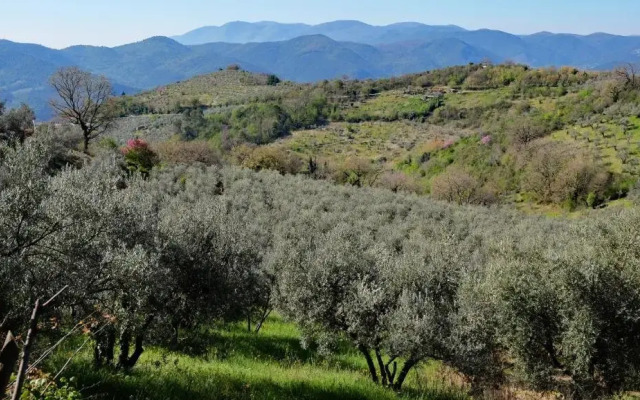 Agriturismo Il Casaletto