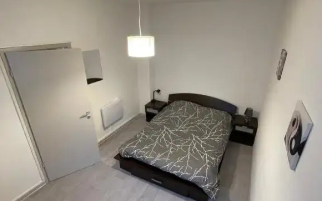 Superbe appartement rénové au centre de Forbach