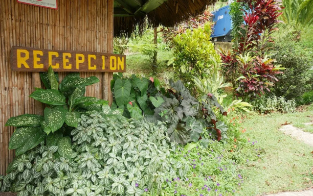 Villa Tavida Lodge