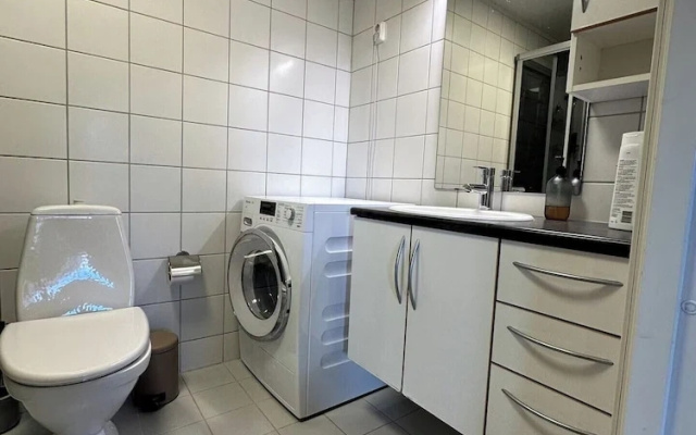 Aurora Borealis Apartment - Sleeps 3 - Parking