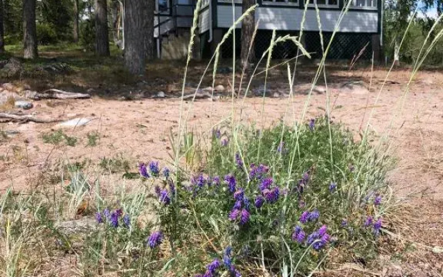 Pensar Syd Villa