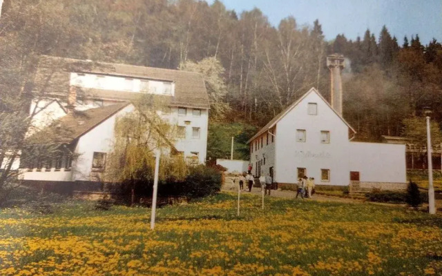 Walkmühle