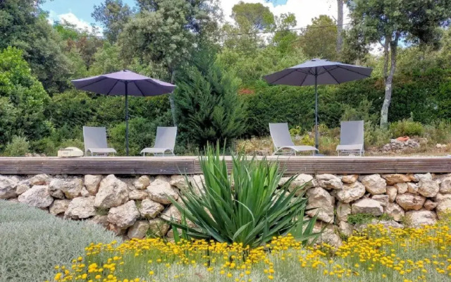 la Mésange Bleue du VERDON