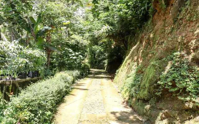 Homestay Yoto