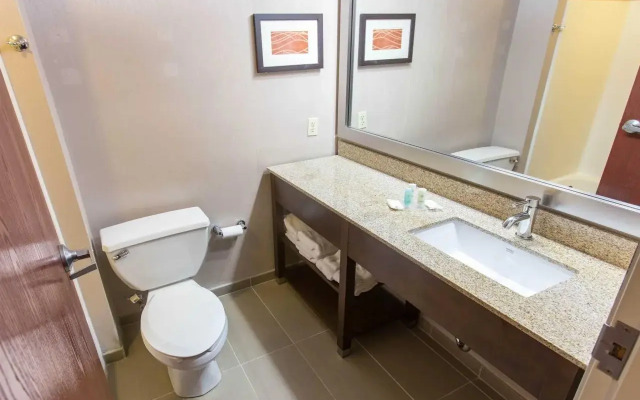 Comfort Inn Pittsburgh Crafton