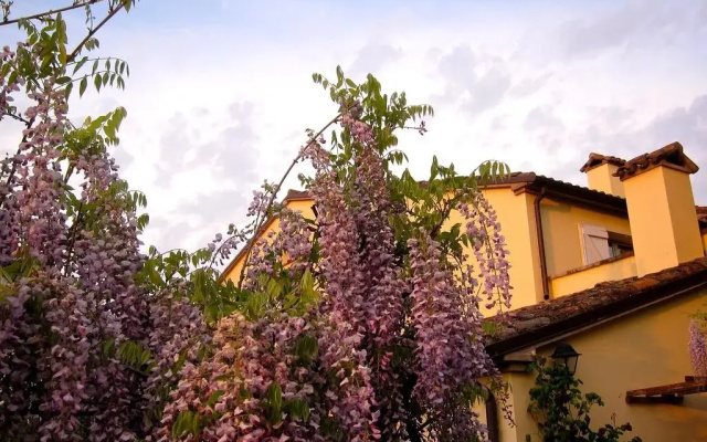 Casa del Tesoro