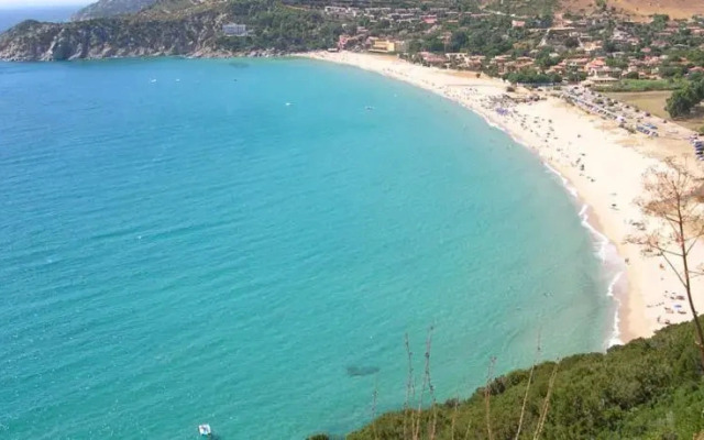 Pinella