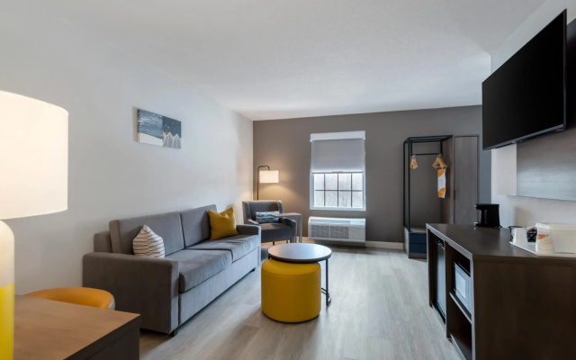Comfort Inn & Suites Lexington South