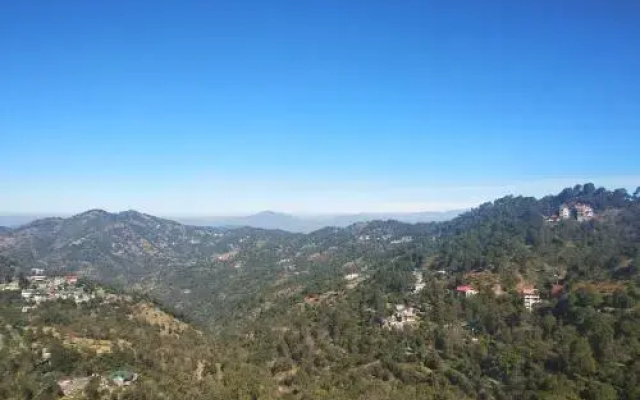 Orchid Kasauli