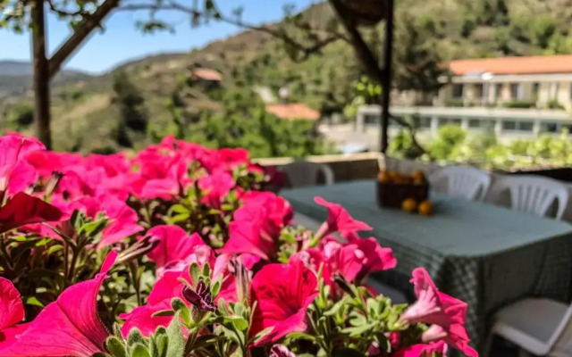 Vasiliou House
