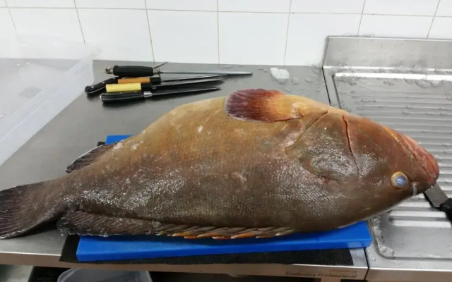 S'apposenteddu Affittacamere del Ristorante da Stefano