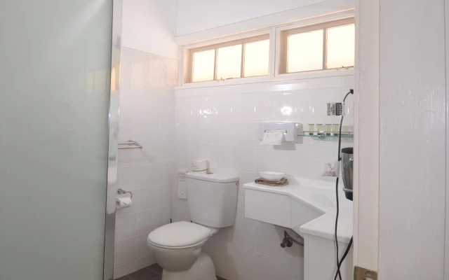 Poplars at Mittagong