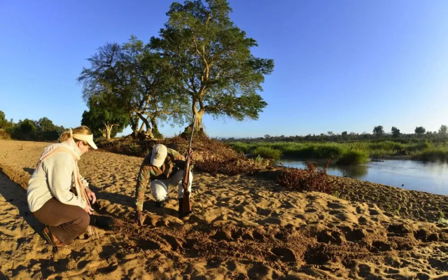 Mtomeni Safari Camp