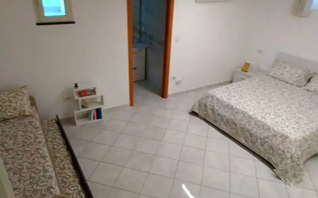 Amaa Casa