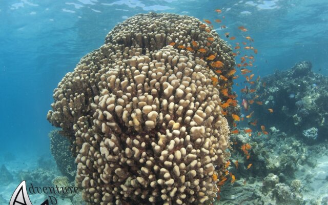 Отель Aqaba Adventure Divers Village вид на фасад