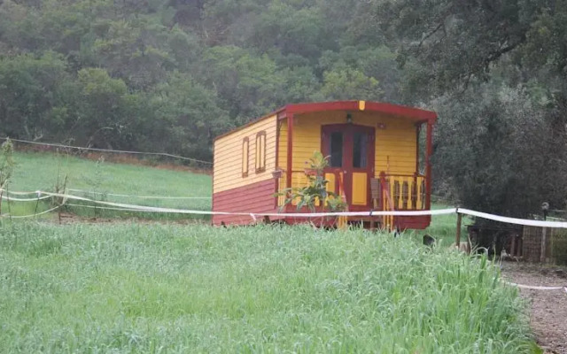 Horta da Varzea