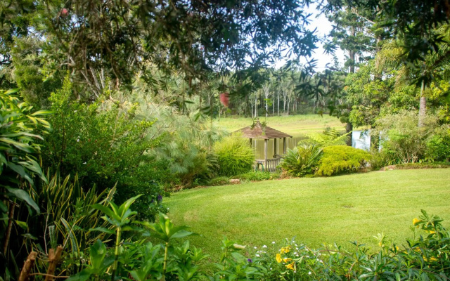 The Lake House