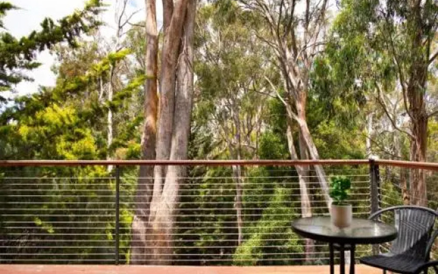 Serena Daylesford