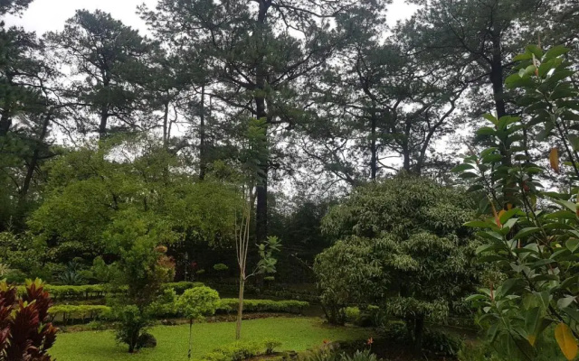 Jabbitos Baguio Transient House 2