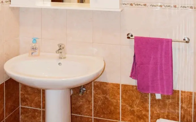 Apartment Anica