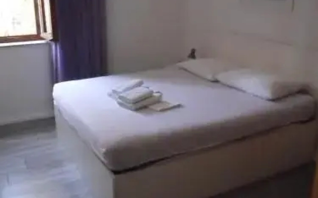SD House